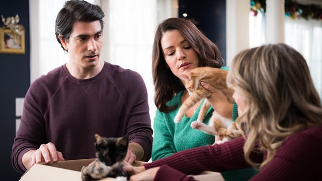 The Nine Kittens of Christmas