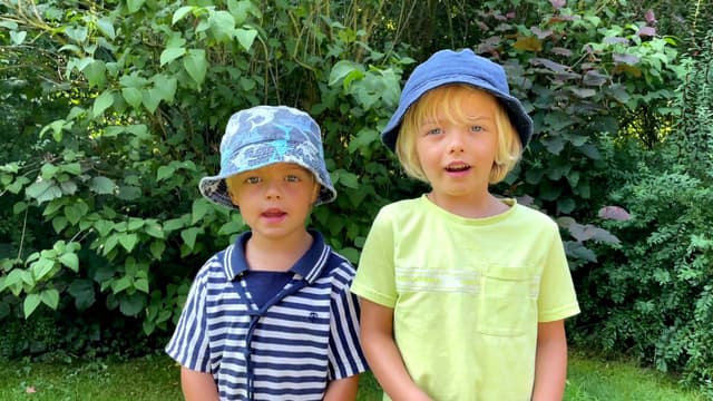 Sky And Finn: Animal Stories