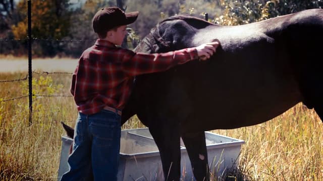 My Broken Horse Christmas